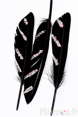 Oie Lame paillettes multicolore - 10-15 cm - noir